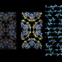 dna_small.png